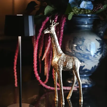 Teresa B&d - The Unconventional House ベッド・アンド・ブレックファスト 3*